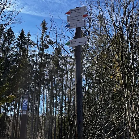 Apartamento Na Soszowie, - Widokowe Miejsce Z Balia & Prywatna Sauna, Obok Stoku Narciarskiego I Bike Parku, Dla Max 16 Osob *