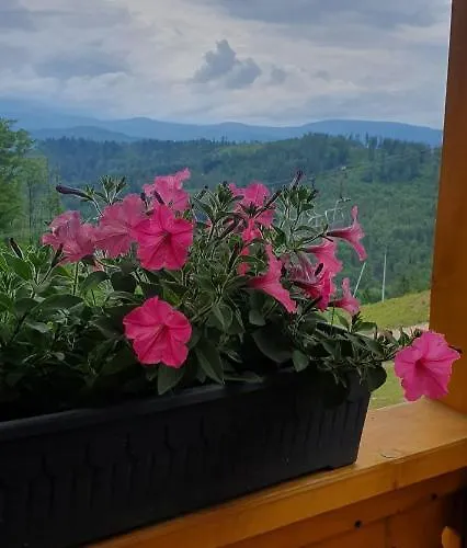 Na Soszowie, - Widokowe Miejsce Z Balia & Prywatna Sauna, Obok Stoku Narciarskiego I Bike Parku, Dla Max 16 Osob Appartement *