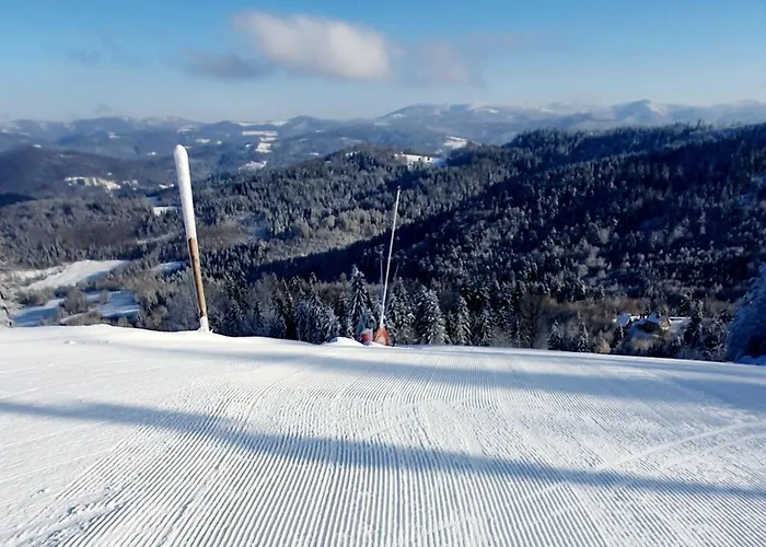 Na Soszowie, - Widokowe Miejsce Z Balia & Prywatna Sauna, Obok Stoku Narciarskiego I Bike Parku, Dla Max 16 Osob *