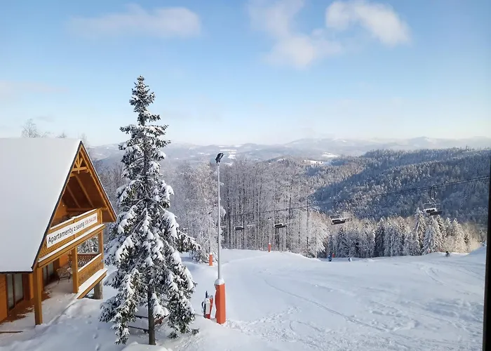 Na Soszowie, - Widokowe Miejsce Z Balia & Prywatna Sauna, Obok Stoku Narciarskiego I Bike Parku, Dla Max 16 Osob * Wisła
