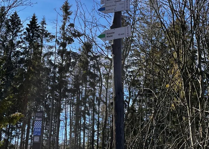 Apartmán Na Soszowie, - Widokowe Miejsce Z Balia & Prywatna Sauna, Obok Stoku Narciarskiego I Bike Parku, Dla Max 16 Osob *