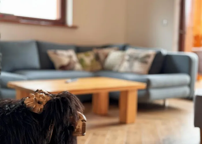 Na Soszowie, - Widokowe Miejsce Z Balia & Prywatna Sauna, Obok Stoku Narciarskiego I Bike Parku, Dla Max 16 Osob Apartmán *